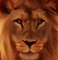 Korisnikov avatar